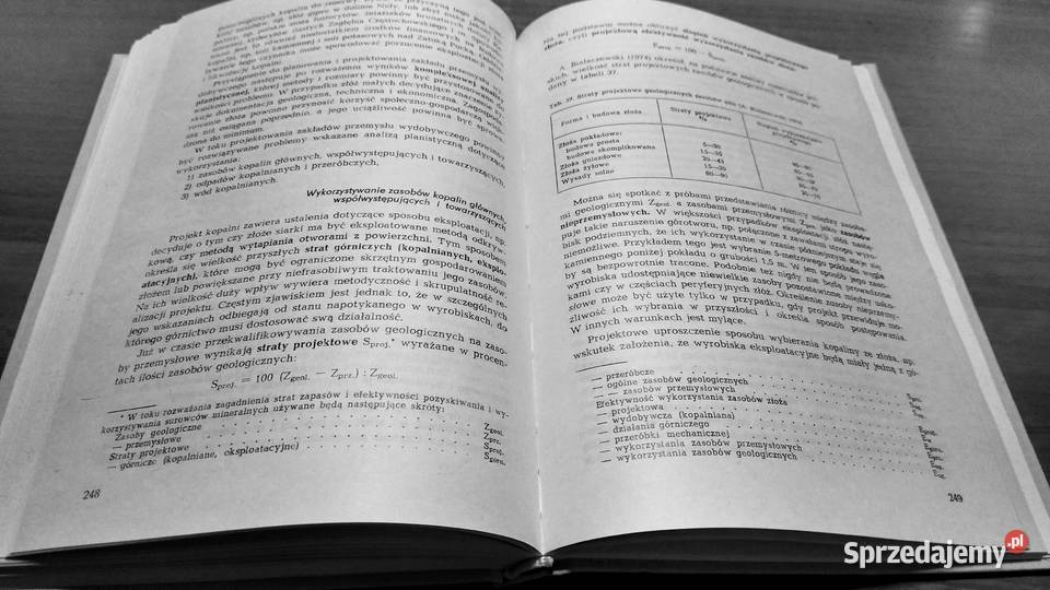 Geologia gospodarcza Andrzej Bolewski Hubert Gdańsk