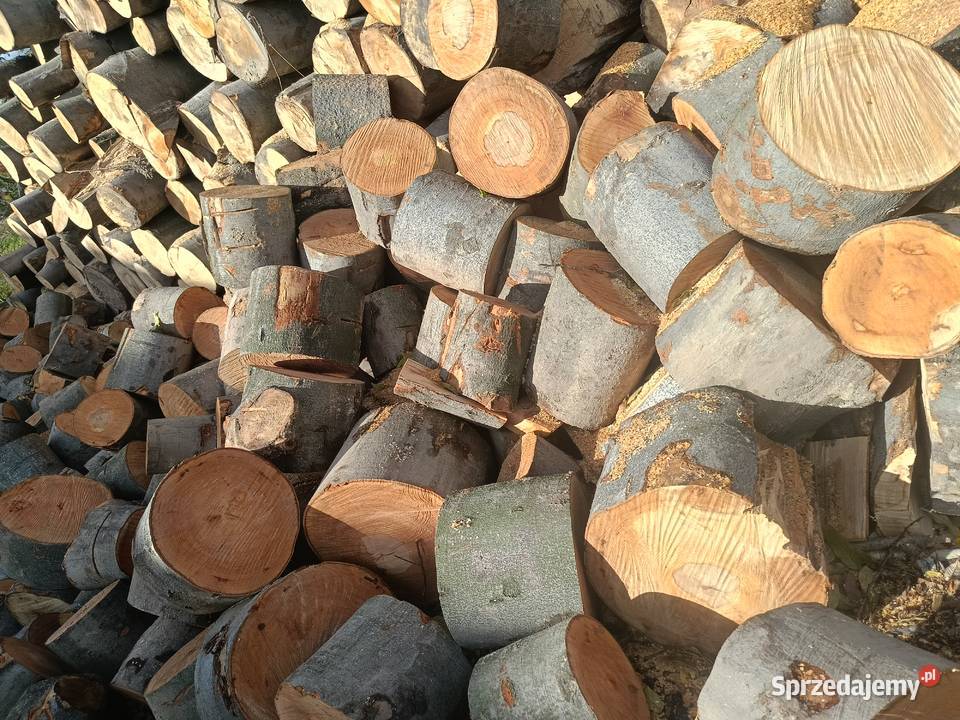 Drewno bukowe Bobrowa sprzedam