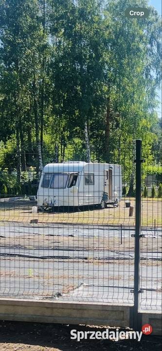 Coachman Pastiche 4602