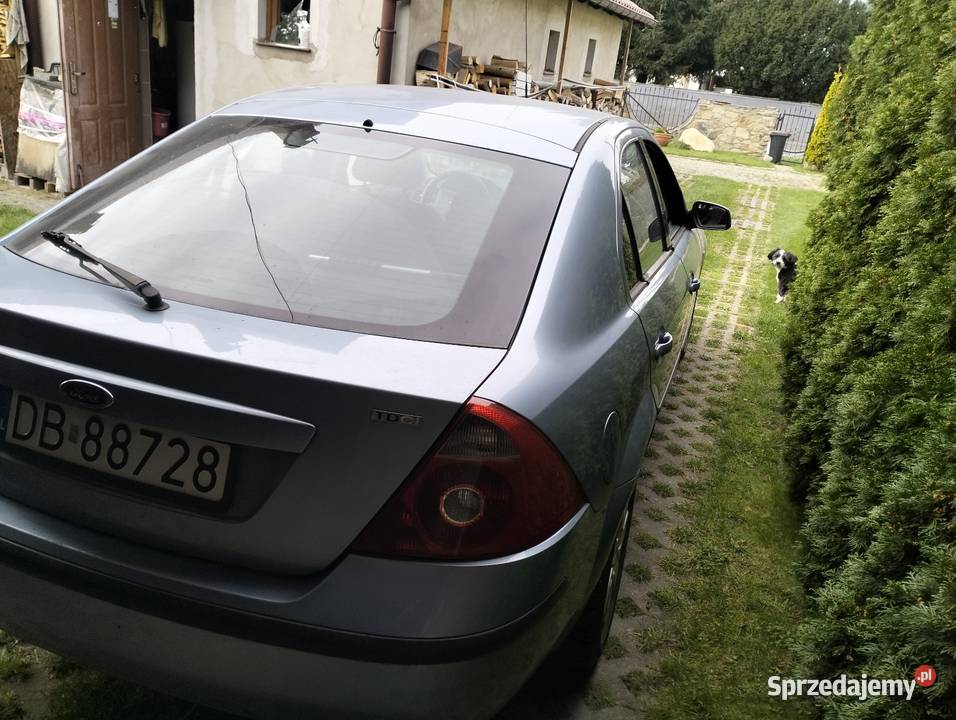Ford Mondeo MK3 Gęsiniec