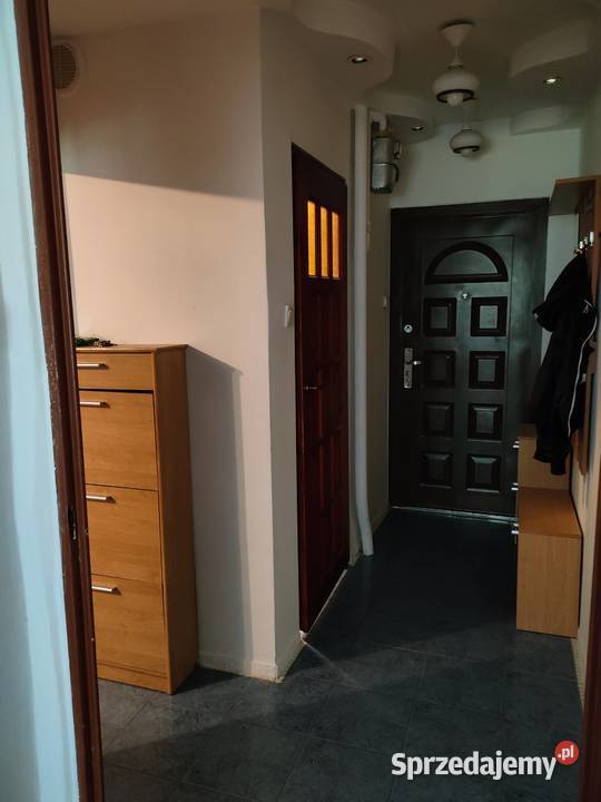 wynajmę mieszkanie Szczecin