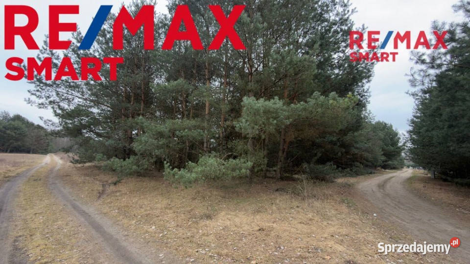 Michałów urokliwa działka budowlana 5500 m2 mazowieckie