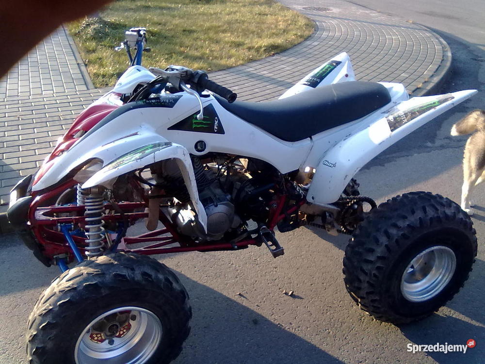 QUAD YAMAHA RAPTOR 350 hondasuzukiLTZ kawasaki Rok produkcji 2006 Inne pojazdy i łodzie Kolbuszowa