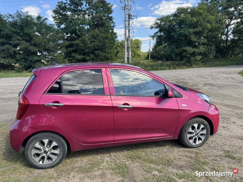 Kia Picanto 10 benzyna 66 2016 109 884 wielkopolskie Zbąszyń