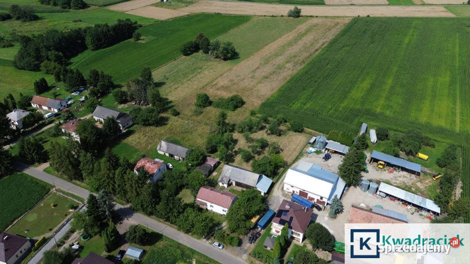 Sprzedam dom wolnostojący Jaszczew 10507 metrów