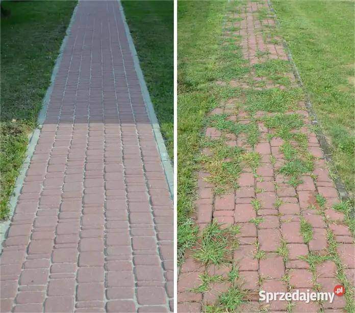 Czyszczenie Gresu Fug Tarasów Hal Garaży Łódź