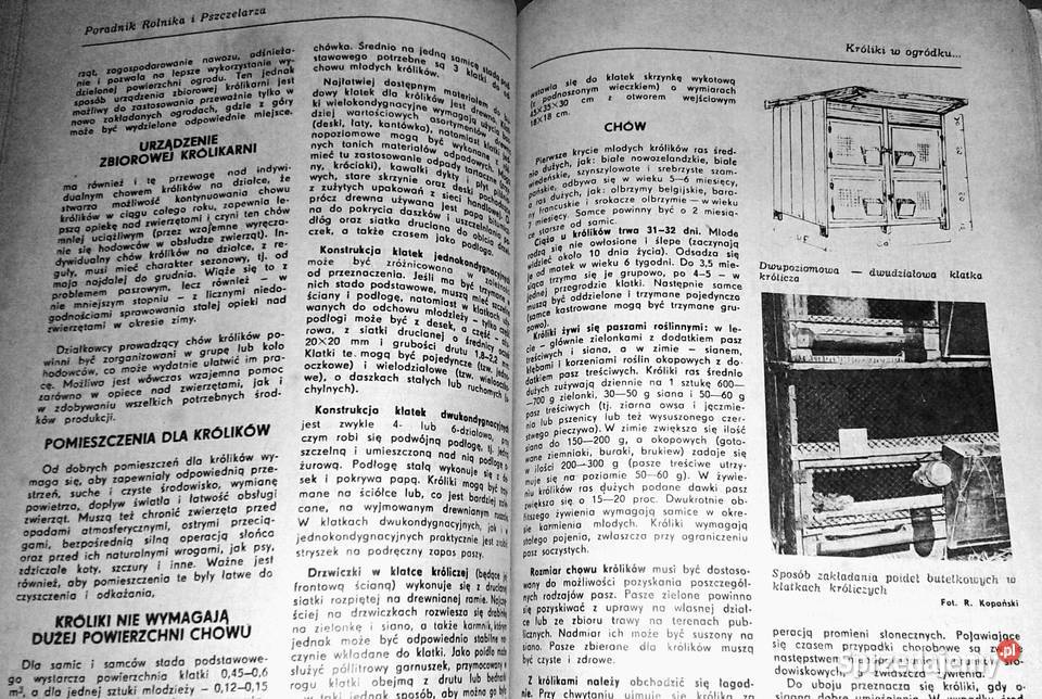 Poradnik rolnika i pszczelarza kalendarz na 1988 Chełm