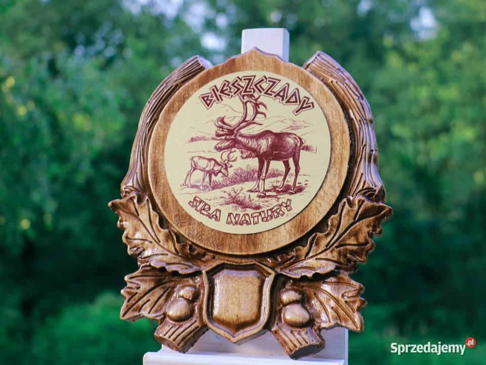 Pamiątka z Bieszczad Rzeźbiona deska Jasienica Rosielna