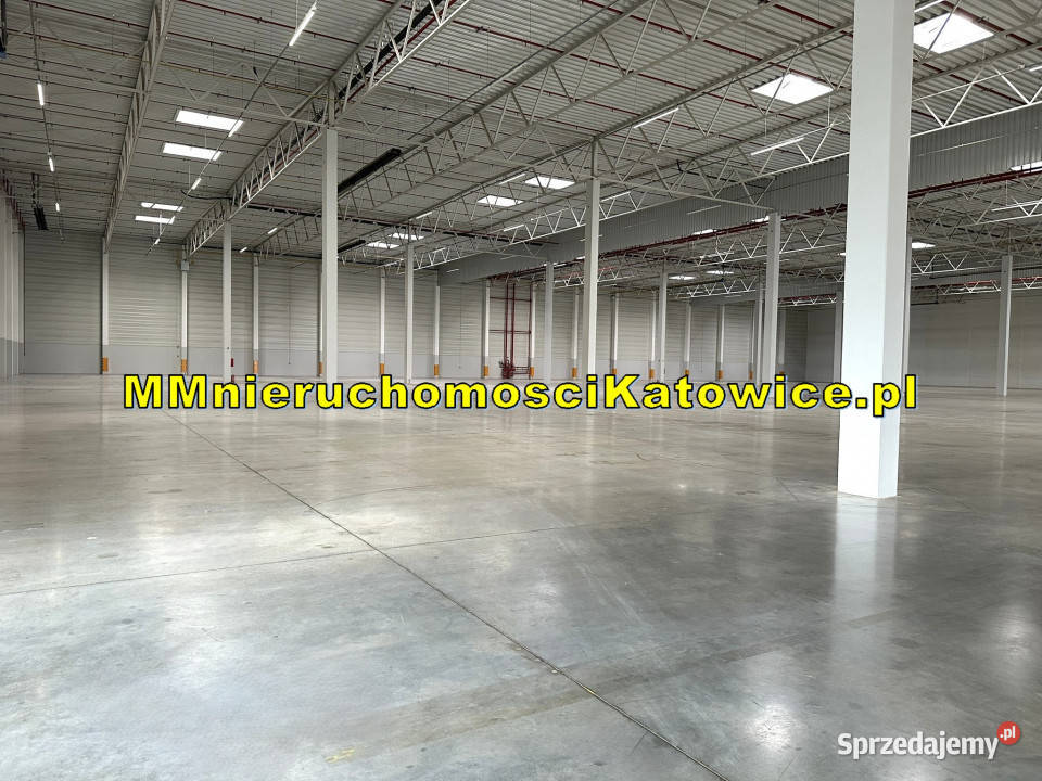 Lokal Ruda Śląska 13147m2 13147m2