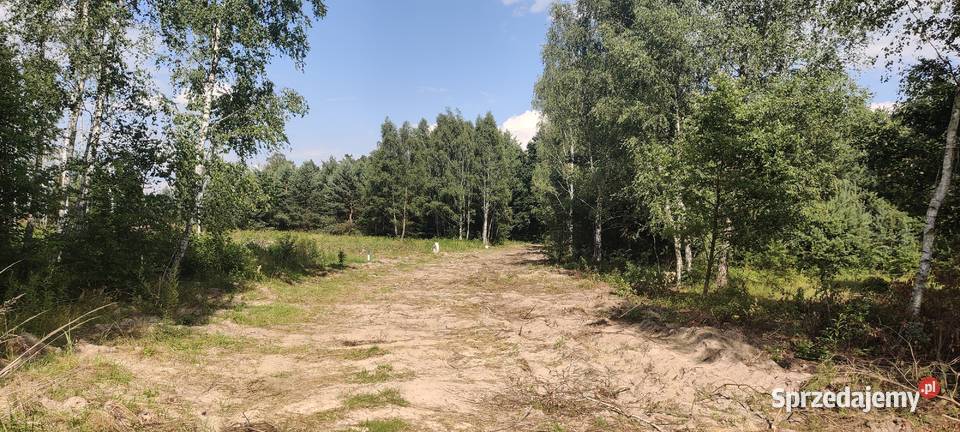 Urokliwa działka budowlana 800 m w otulinie lasu Sprzedaż Warszawa