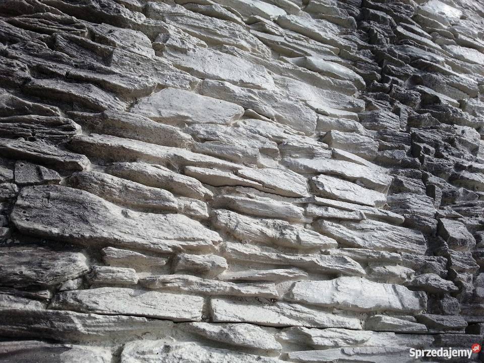 Kamień Dekoracyjny Cegły Producenta różnorodność Remont i budowa