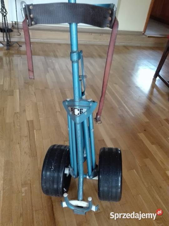 Profesjonalne kije golfowe i inne rzeczyogród Bydgoszcz