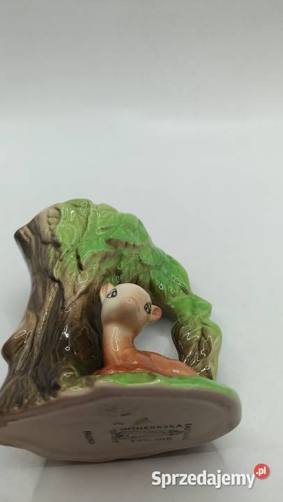 Sarenka wazonik Portery fauna Zamość