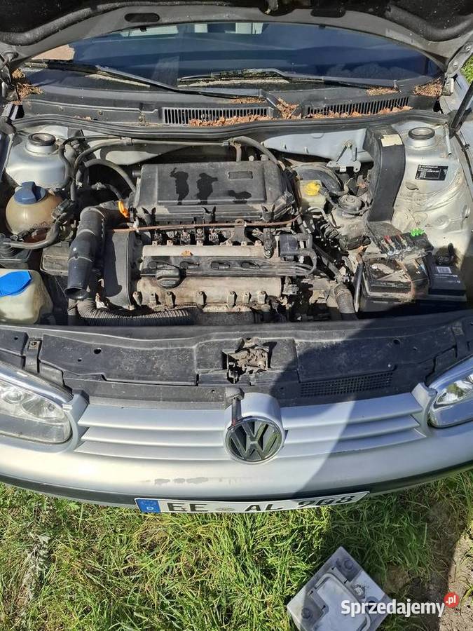 Golf 4 14 16v Żary
