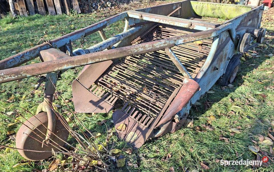 Kopaczka elewatorowa do ziemniaków Maszyny rolnicze Ożarów sprzedam