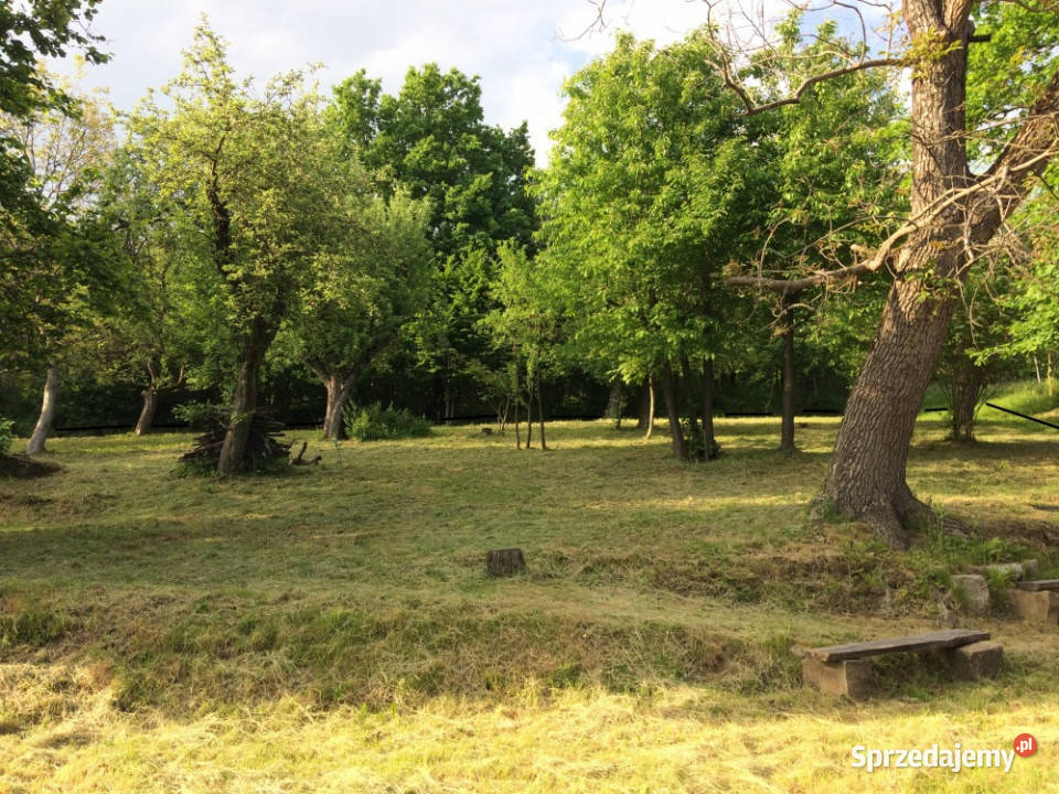 Działka z duszą i widokiem dojrzały ogród Sprzedaż Sprzedaż Podchybie