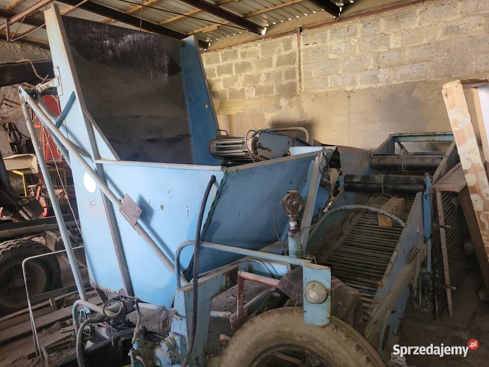Kombajn bolko do ziemniaków cebuli I warzyw mazowieckie Miedniewice