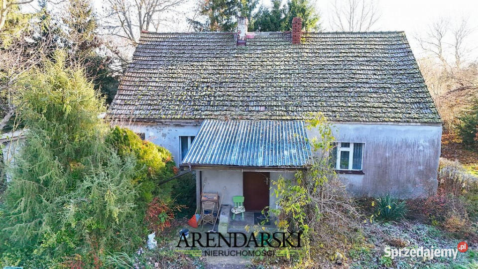 Dom wolostojący w Roszkowicach Roszkowice