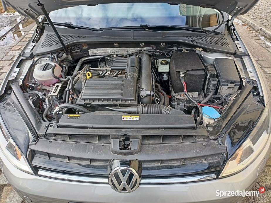 VW GOLF VII Najlepszy Silnik 14 125 Bogata bluetooth Wschowa