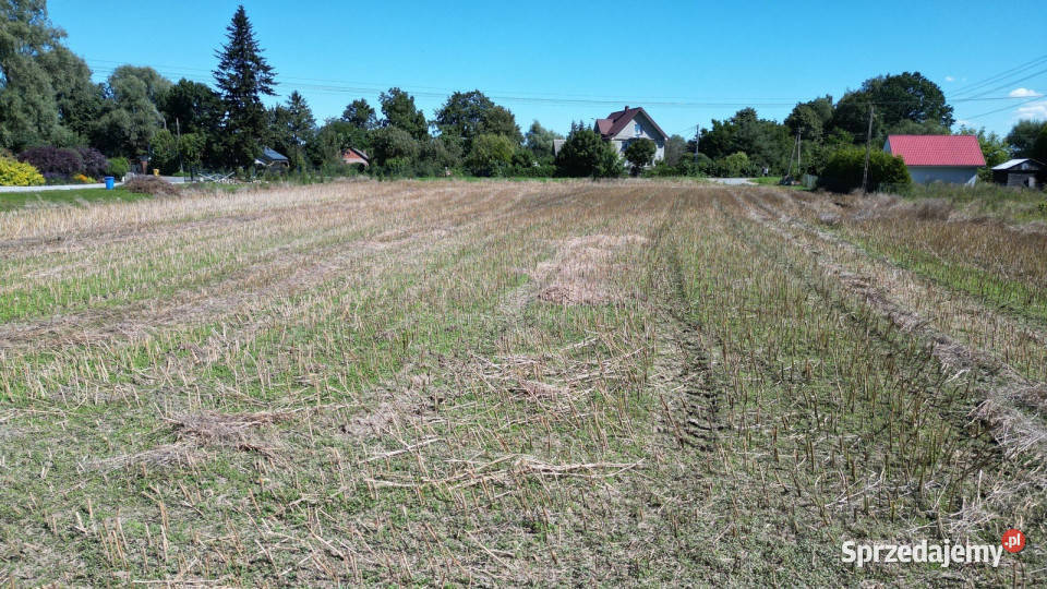 Działka siedliskowa Cedry MałeGdańskTrójmiasto pomorskie Cedry Małe