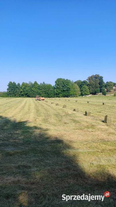 Kostki siana Sulęczyno