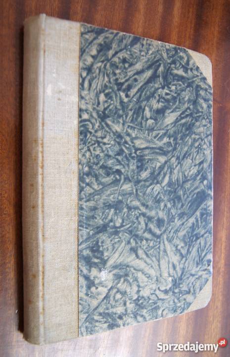 Józef Ignacy Kraszewski Dziecię Starego Miasta Parczew