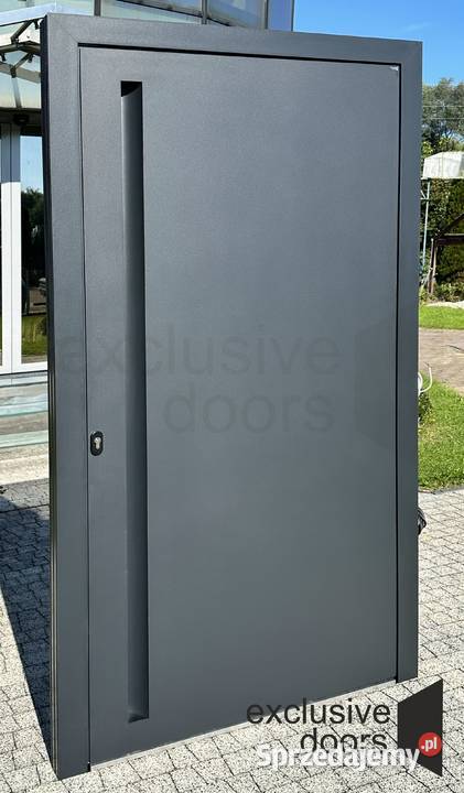 Aluminiowe drzwi RAL 7021 Struktura Sterowane Budowa Nowy Sącz