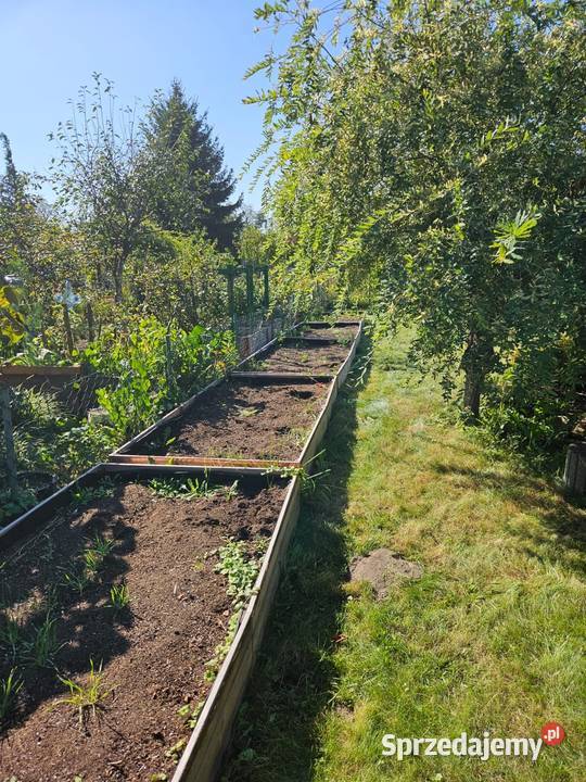 Rod Sahara Wrocław ok 400m2 sprzedam
