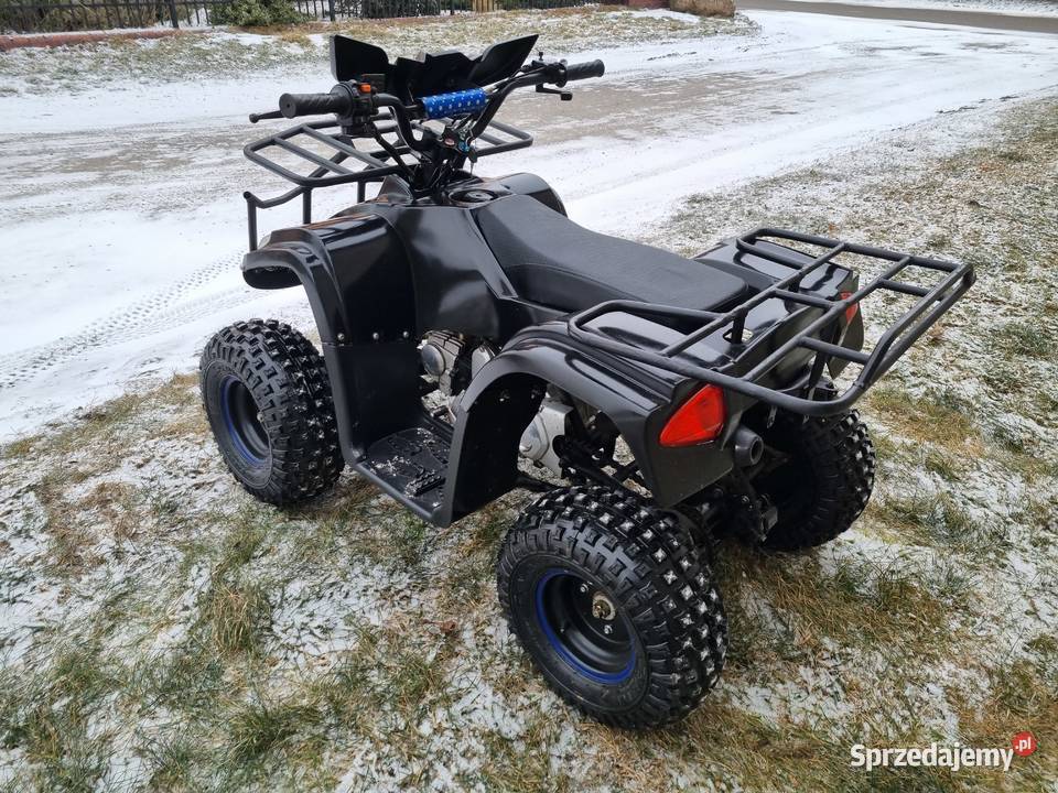 Quad 125 model BMW Skrzynia 11R Zadbany 2018r 125cm3 Pozostałe kujawsko-pomorskie Kruszwica