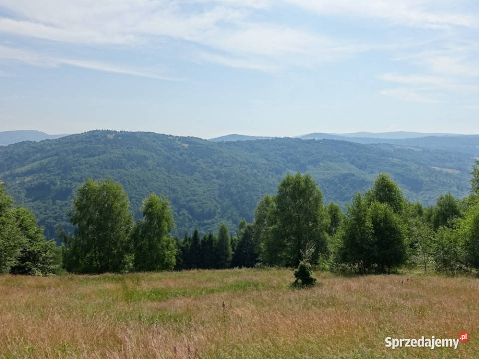 Brenna 253ha inwestycyjna pod pensjonaty domki 71zł/m2 Sprzedaż śląskie