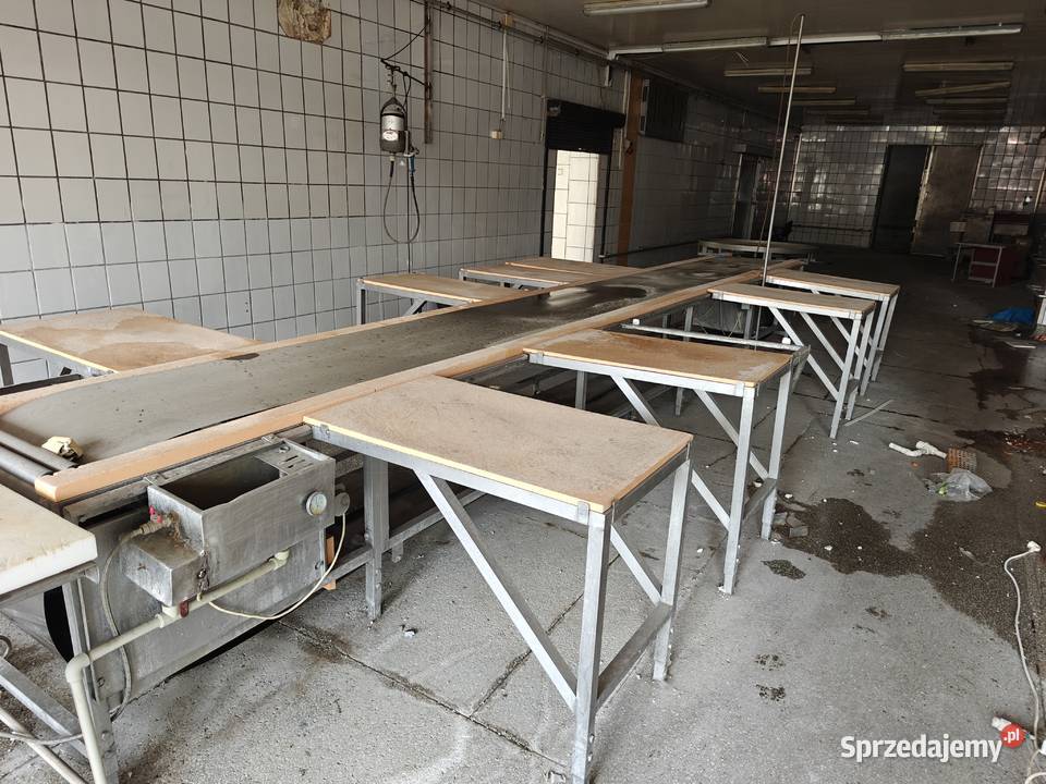 Stół rozbiorowy linia z taśmą nierdzewną Tarnowskie Góry