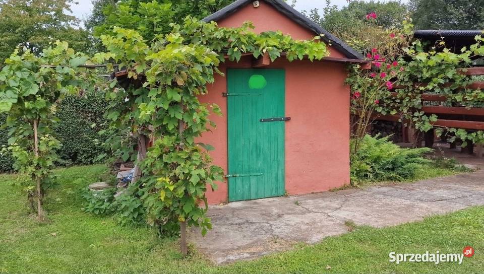 Działka ROD 40 lecia Legnica 400m2 dolnośląskie