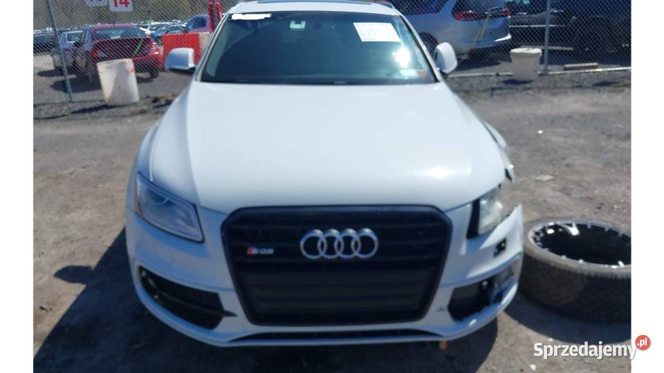 Audi SQ5 30V6T 360 wielkopolskie Kłodawa