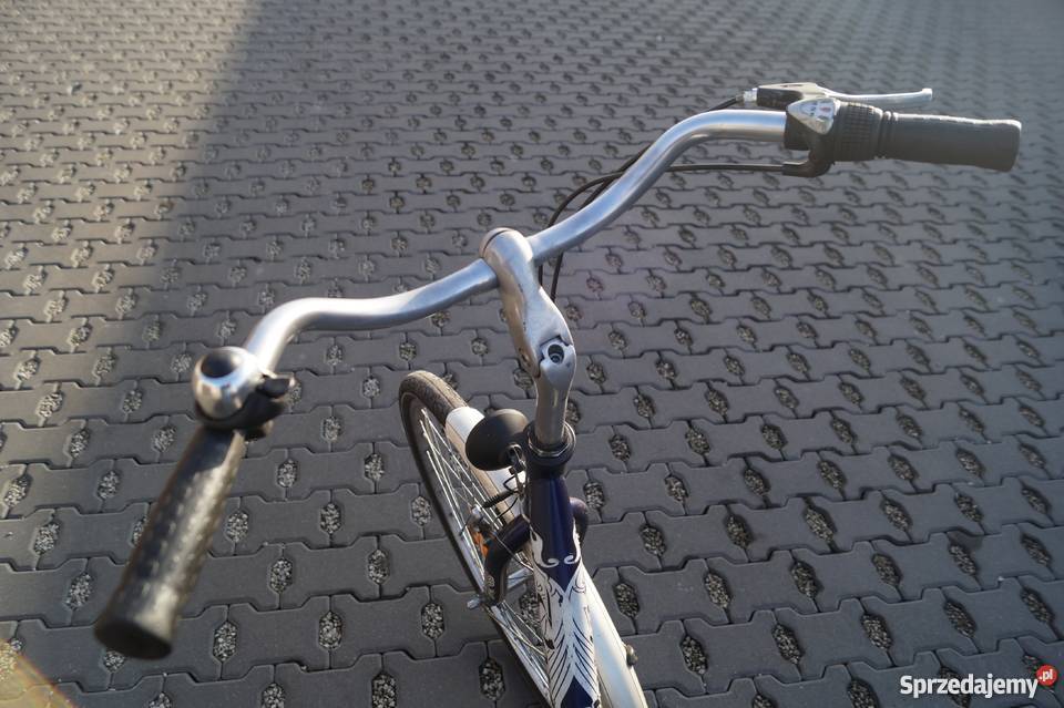 Vortex City 500 miejski 28 3 biegi niski Miejskie Gniezno