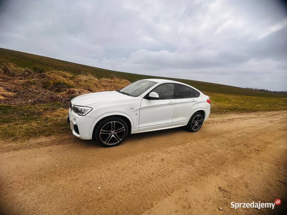 BMW X4 20d 190 Puck