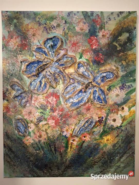 Zmroki inne obrazy warmińsko-mazurskie Iława