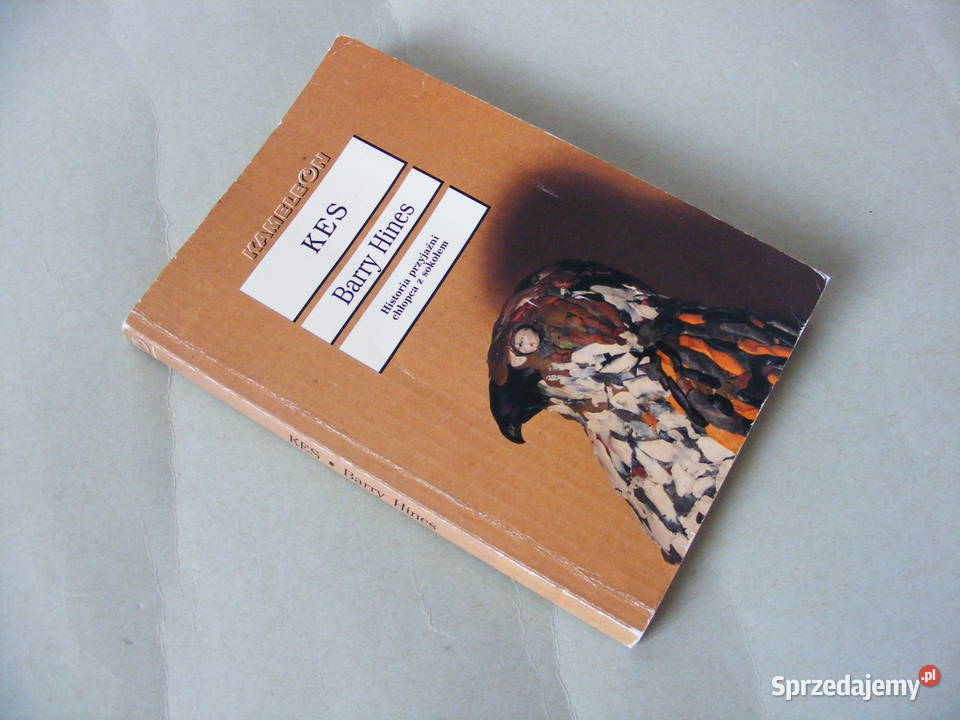 Kes Hines Serenissima Jong Moja piękna pralnia miękka Oborniki Śląskie