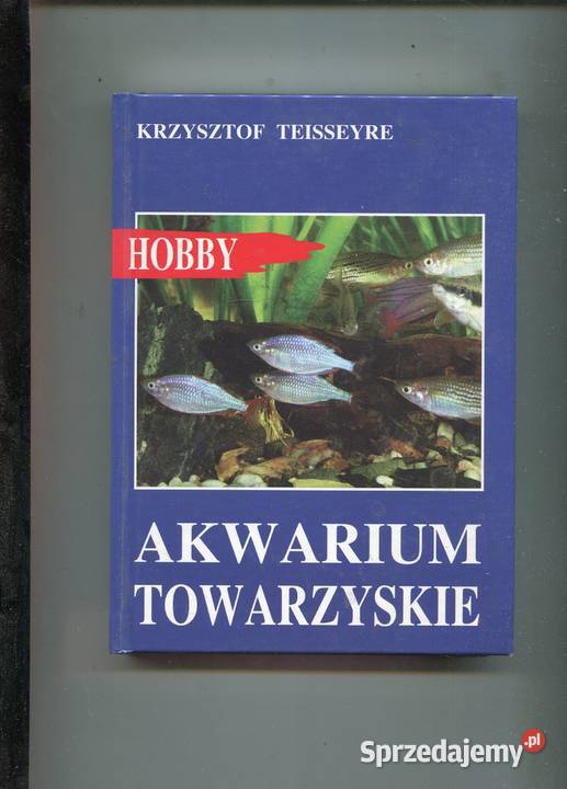 Akwarium towarzyskie Hobby Krzysztof Teisseyre Szczecin