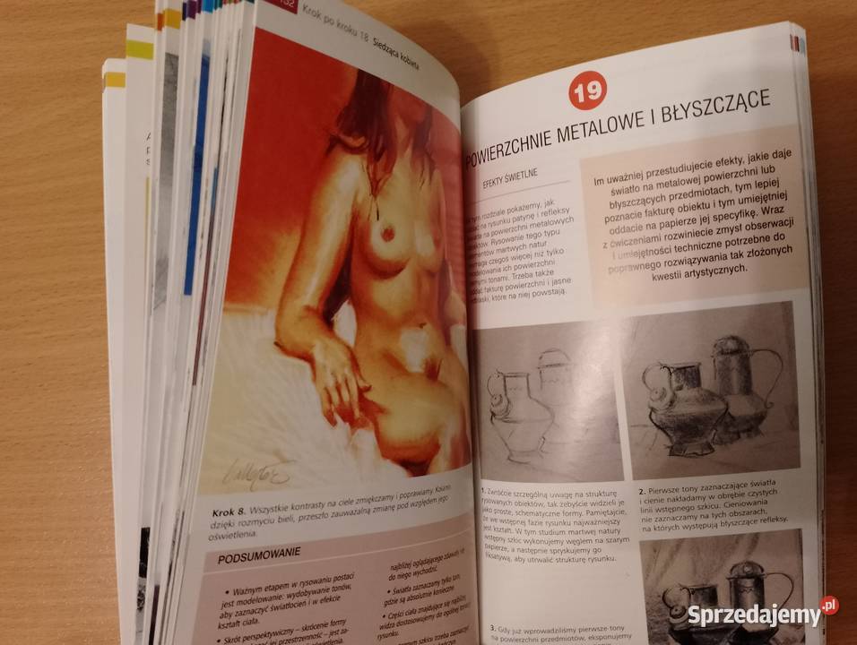 RYSOWANIE PRAKTYCZNY PODRĘCZNIK Ballestar Vigu Poznań