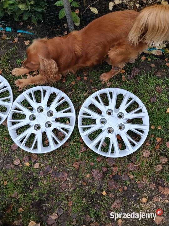 Kołpaki 15 kia Poraj