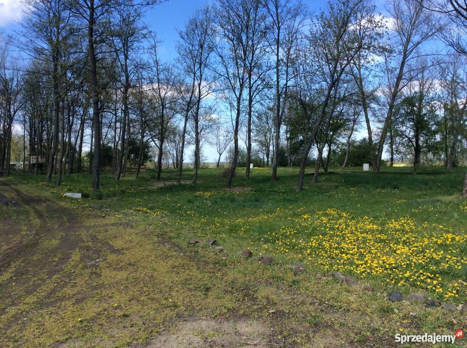 Działka jeziorem dolnośląskie 43zł/m2 Złotoryja