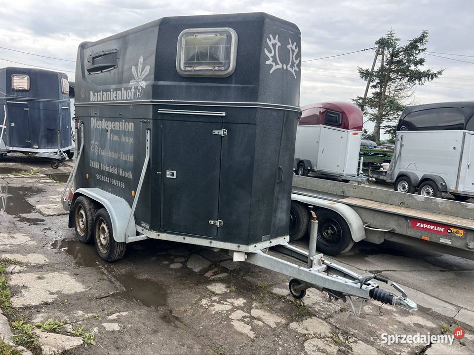 Przyczepa do koni marquard Rok produkcji 1990 Solnica
