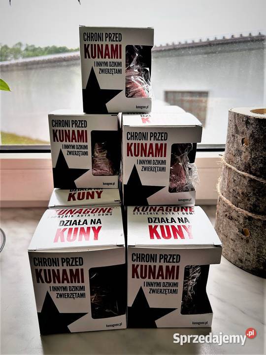 Ochrona przed kunami kotami kretami Żory
