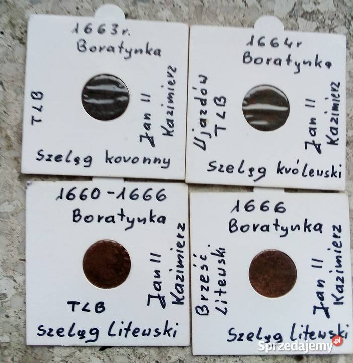 BORATYNKI4 SZTUKI W HOLDERACH Legionowo