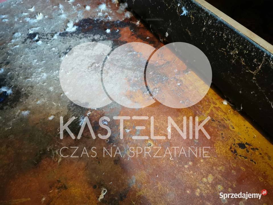 Sprzątanie zgonach Łęczna Kastelnik Dezynfekcja