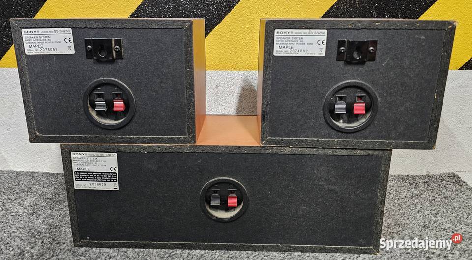 Zestaw kolumn Sony SSCN250 i 2x SSSR250 do kina