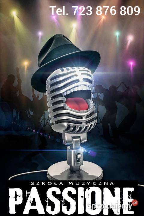 Skrzypce gitara pianino perkusja wookal lekcje Pozostałe Strzyżów