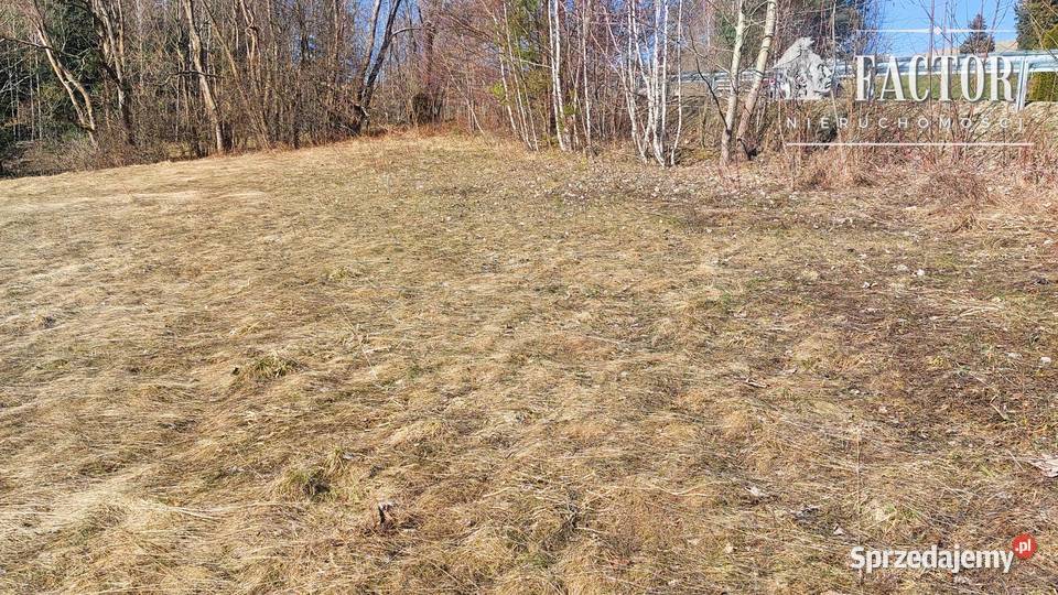 Działka budowlana 1279 ara Bieśnik gm Łużna