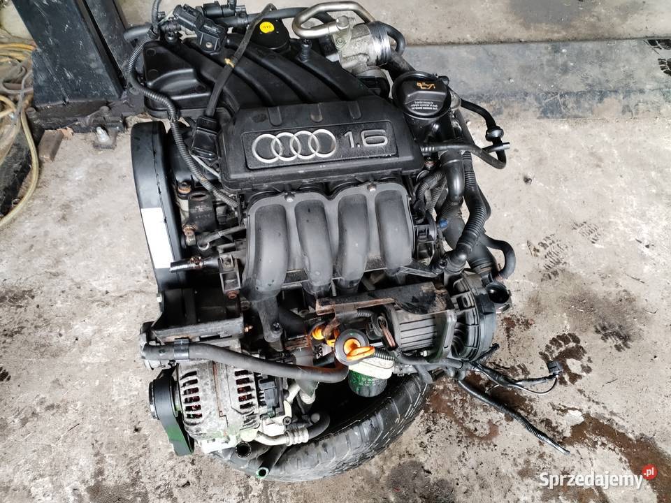 Silnik audi vw 16 mpi BGU Chęciny