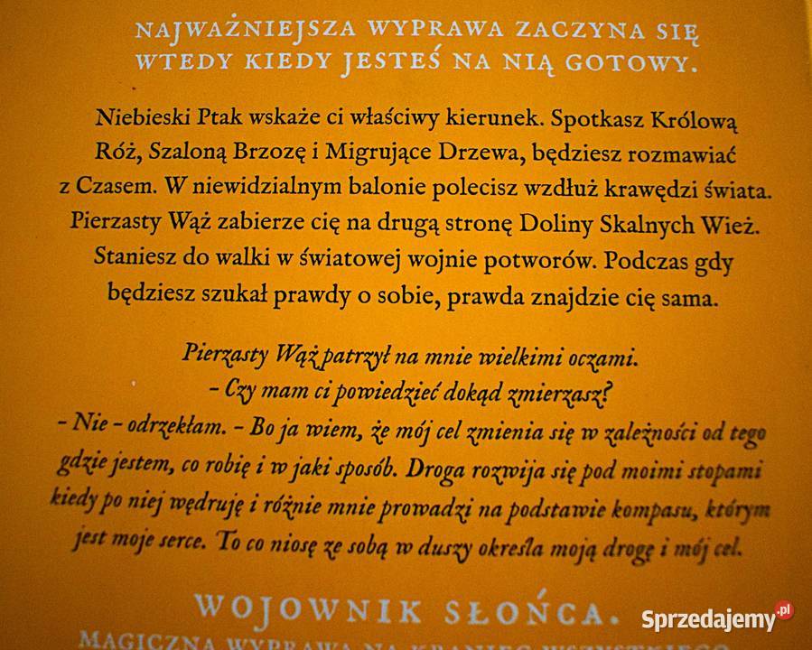 Księga kodów podświadomości Wojownik Słońca sprzedam